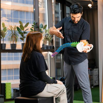 Professional specialist in lifestyle ergonomics and educational programs
